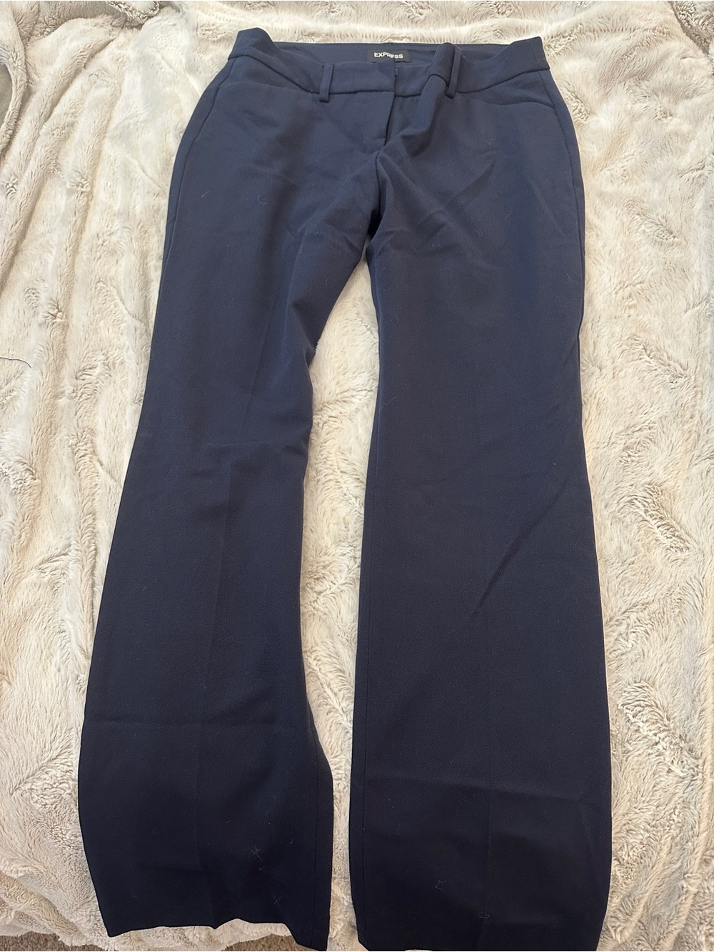 Express Navy Dress Pants with Hook Closure